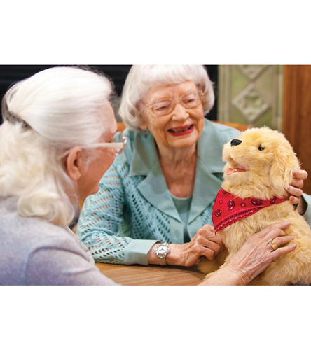 Memory Care Design Assistive Devices for Seniors