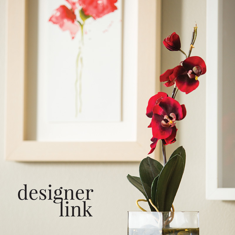 closeup photo of a red orchid in a room setting